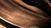 Copper HD wallpaper, abstract brown background 