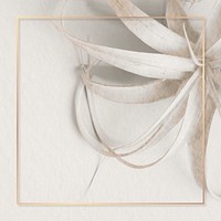 Golden square frame on a white tillandsia plant background