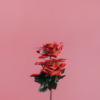 Red rose with glitch effect design resource 