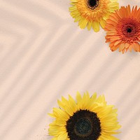 Natural sunflower on beige background