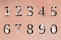 Vector 123 number set botanical vintage typography