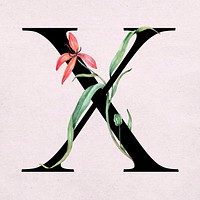 Floral x letter font vector romantic typography