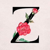 Floral z letter font vector romantic typography