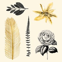 Flowers and leaf vector gold and black hand drawn botanical sticker set