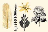 Hand drawn vector leaf and flower golden black vintage sticker