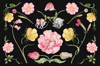 Vintage blooming flower illustration vector set, remix from The Model Book of Calligraphy Joris Hoefnagel and Georg Bocskay