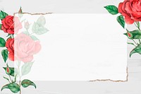 Red rose vector gold border frame