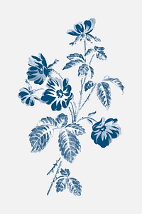 Vector blue wild rose floral vintage illustration