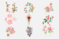 Vector colorful flower illustration set