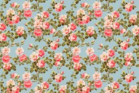 Vector colorful wild rose flower pattern vintage  background