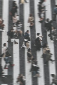 Pedestrian crossing street top view