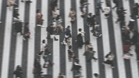 Pedestrian crossing street top view