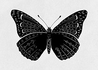 Vintage butterfly insect vector linocut stencil pattern clipart