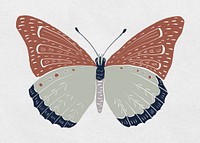 Vintage butterfly insect vector colorful stencil