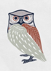 Colorful owl vector bird vintage stencil pattern