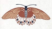 Brown moth vector vintage stencil pattern