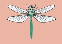 Vintage dragonfly vector insect stencil pattern
