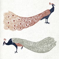 Vintage peacocks exotic birds vector linocut collection