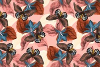 Butterfly floral abstract background vector with design space, remix from The Naturalist&#39;s Miscellany by George Shaw