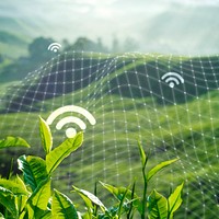 Smart agriculture 5.0 green plant product farming technology social media post background
