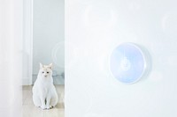 Smart pet and smart home technology background