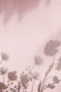 Pink background psd with floral field shadow
