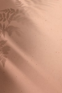 Background psd with leaves shadow on pink concrete