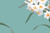 Daffodil border vector on green background