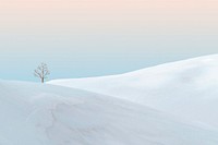 Creative background psd of minimal winter landscape with a bare tree