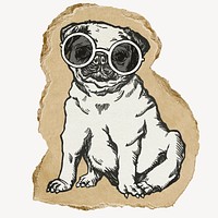 Pug wearing sunglasses, ripped paper collage element