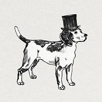 Vintage beagle dog vector sticker with top hat
