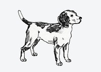 Cute beagle dog sticker vector vintage illustration
