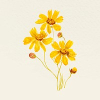 Vintage yellow flower vector illustration, remixed from public domain artworks