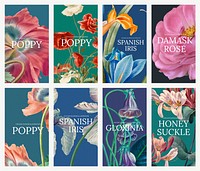 Floral template vector illustration set, remixed from public domain artworks