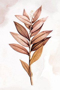 Leaf aesthetic illustration vector, remixed from vintage public domain images