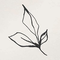 Leaf doodle illustration vector, remixed from vintage public domain images