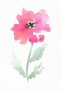 Pink poppy flower watercolor vector spring seasonal graphic