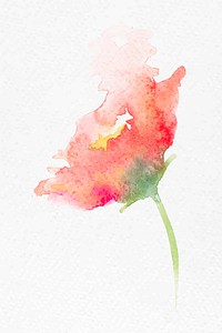 Pink poppy flower watercolor vector spring seasonal graphic