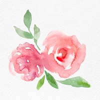 Pink rose flower watercolor vector spring seasonal graphic