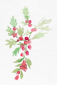 Winter redberry plant watercolor vector in redseasonal graphic