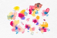 Colorful flowers watercolor vector spring seasonal graphic