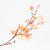 Maple branch autumn watercolor vector in orange seasonal graphic