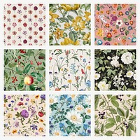 Botanical seamless patterns, vintage floral background set vector, remixed from original artworks by Pierre Joseph Redout&eacute;