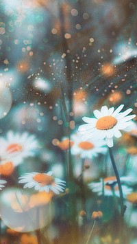 Aesthetic flowers mobile wallpaper, floral design