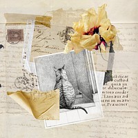 Vintage aesthetic ephemera collage, mixed media background featuring cat and flower