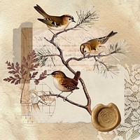 Vintage aesthetic ephemera collage, mixed media background featuring bird and wax seal