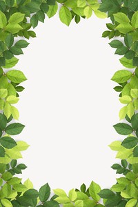 Green leaf frame background, white design psd