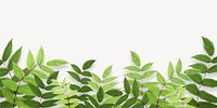 Green leaf border, off-white background psd