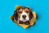 Cute dog background, blue ripped paper design