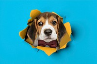 Cute dog collage element, ripped paper design psd